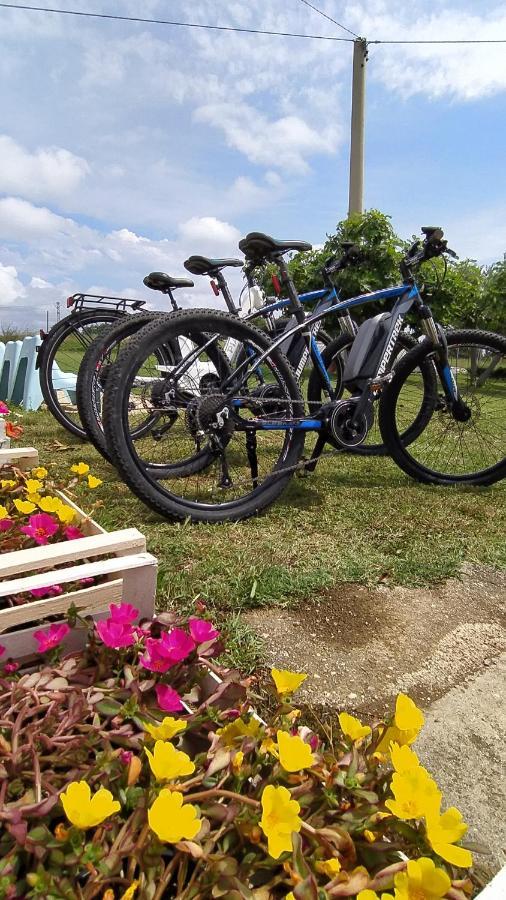 Vila Relais Il Giardino Fra Gli Ulivi Torino di Sangro Exteriér fotografie