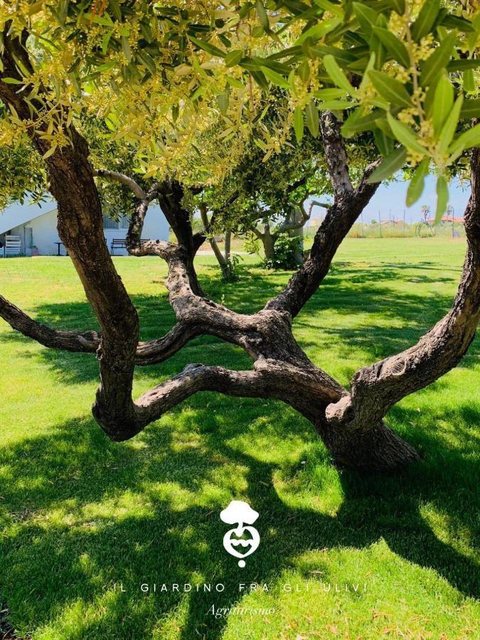 Vila Relais Il Giardino Fra Gli Ulivi Torino di Sangro Exteriér fotografie