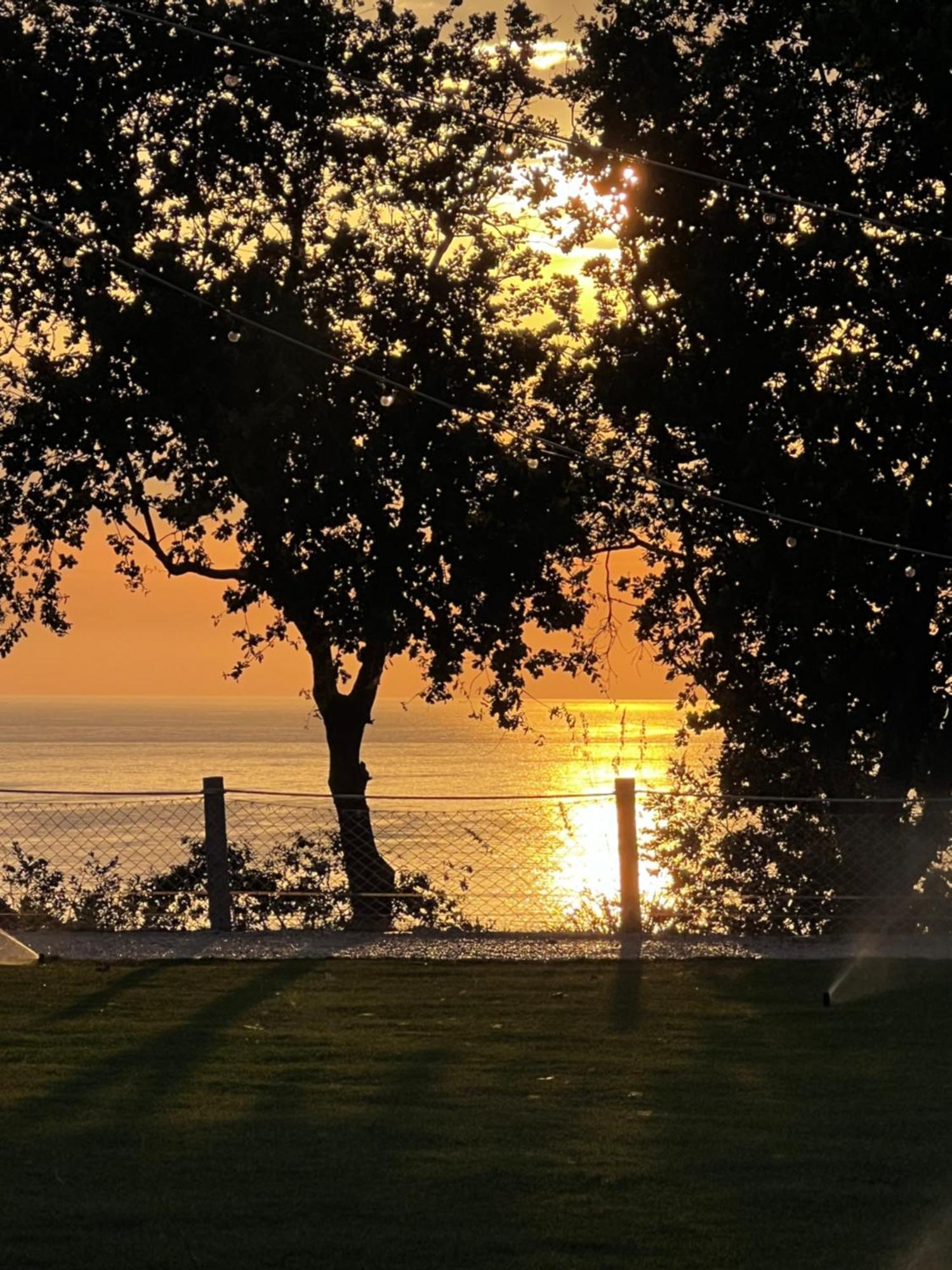 Vila Relais Il Giardino Fra Gli Ulivi Torino di Sangro Exteriér fotografie