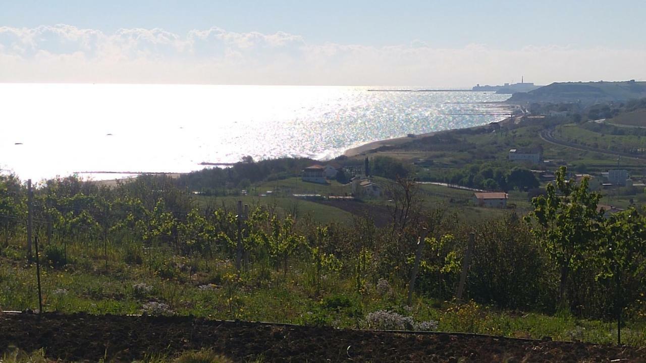 Vila Relais Il Giardino Fra Gli Ulivi Torino di Sangro Exteriér fotografie