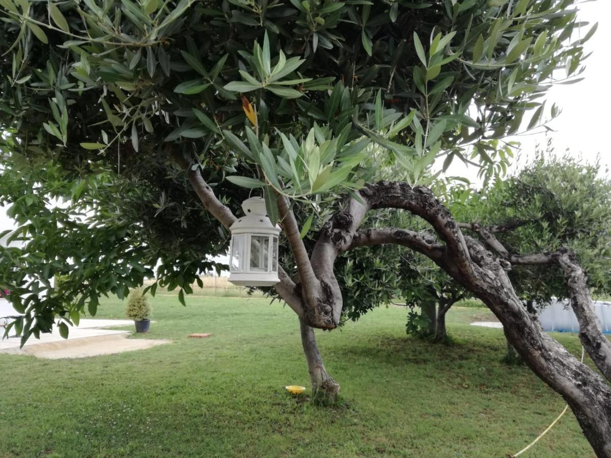 Vila Relais Il Giardino Fra Gli Ulivi Torino di Sangro Exteriér fotografie